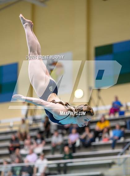 Thumbnail 2 in CHSAA 4A Finals (Diving) photogallery.