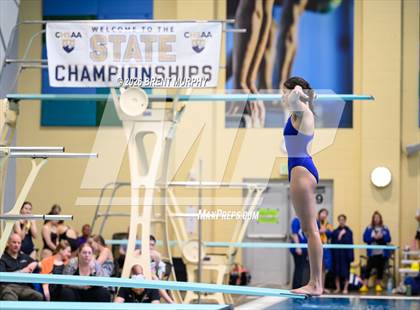 Thumbnail 1 in CHSAA 4A Finals (Diving) photogallery.