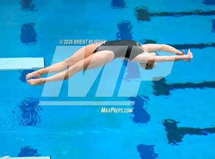 Thumbnail 2 in CHSAA 4A Finals (Diving) photogallery.