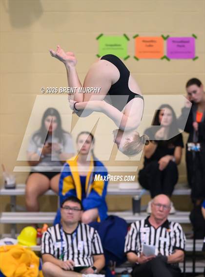 Thumbnail 3 in CHSAA 4A Finals (Diving) photogallery.