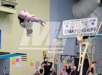 Thumbnail 2 in CHSAA 4A Finals (Diving) photogallery.