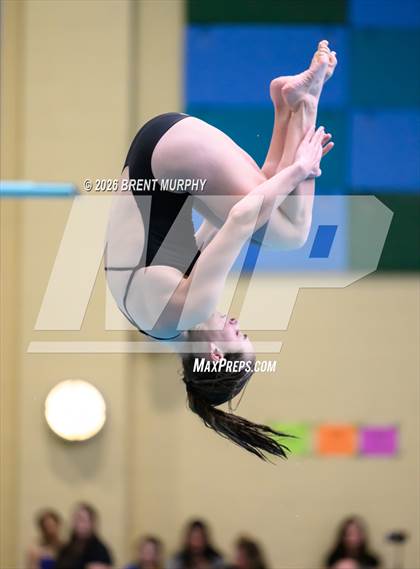 Thumbnail 3 in CHSAA 4A Finals (Diving) photogallery.