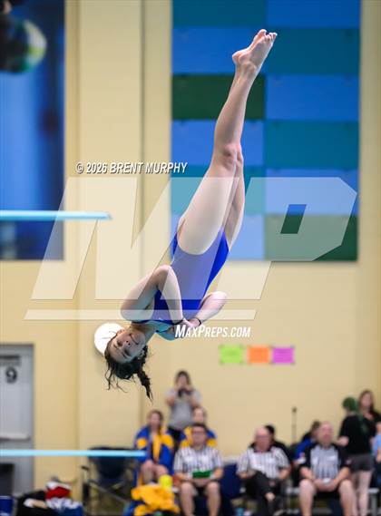 Thumbnail 3 in CHSAA 4A Finals (Diving) photogallery.