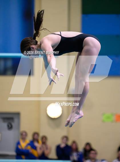 Thumbnail 2 in CHSAA 4A Finals (Diving) photogallery.