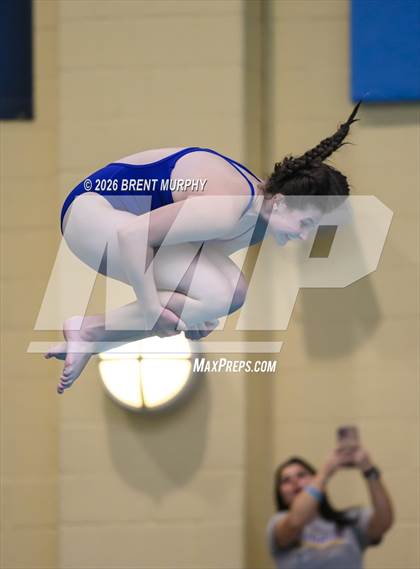 Thumbnail 1 in CHSAA 4A Finals (Diving) photogallery.