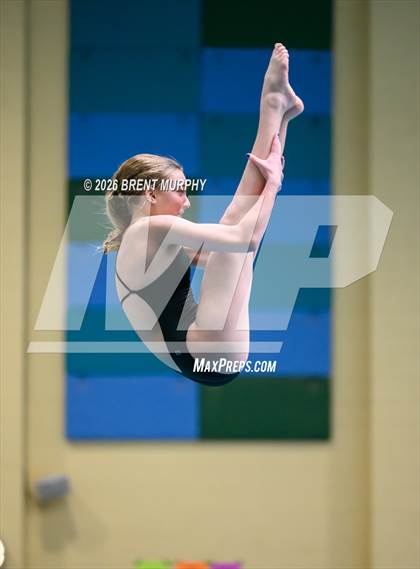 Thumbnail 1 in CHSAA 4A Finals (Diving) photogallery.
