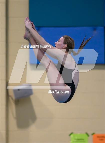 Thumbnail 1 in CHSAA 4A Finals (Diving) photogallery.