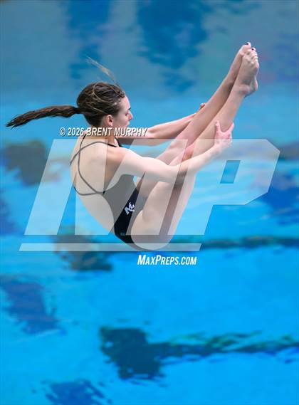 Thumbnail 3 in CHSAA 4A Finals (Diving) photogallery.