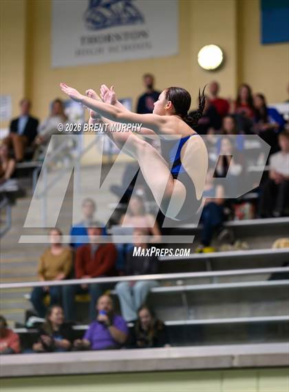 Thumbnail 3 in CHSAA 4A Finals (Diving) photogallery.