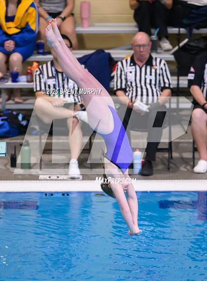 Thumbnail 2 in CHSAA 4A Finals (Diving) photogallery.