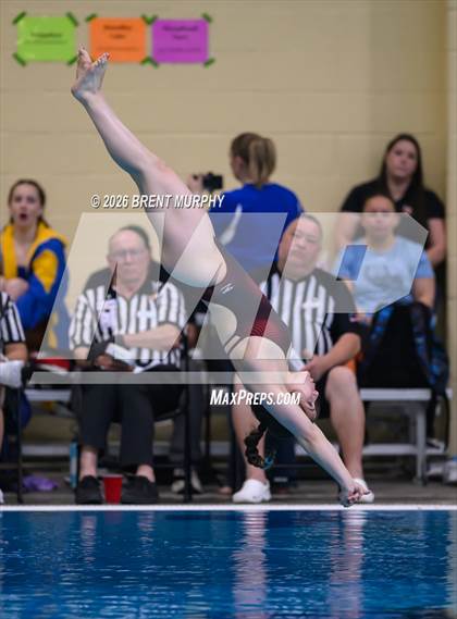 Thumbnail 2 in CHSAA 4A Finals (Diving) photogallery.