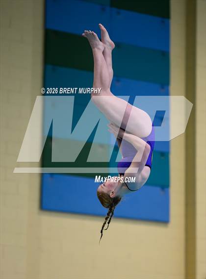 Thumbnail 3 in CHSAA 4A Finals (Diving) photogallery.