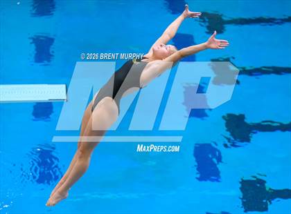 Thumbnail 1 in CHSAA 4A Finals (Diving) photogallery.