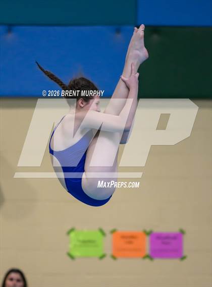 Thumbnail 2 in CHSAA 4A Finals (Diving) photogallery.