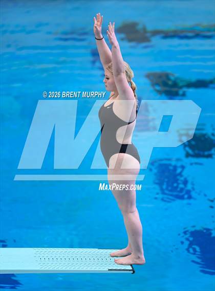 Thumbnail 3 in CHSAA 4A Finals (Diving) photogallery.