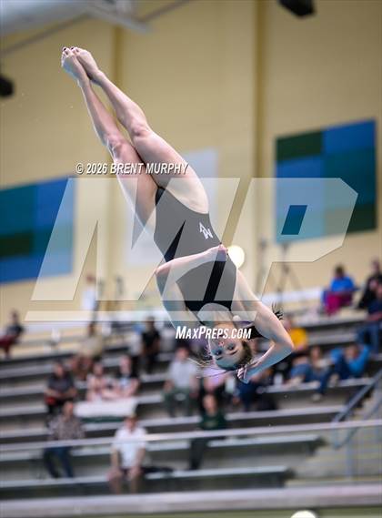 Thumbnail 3 in CHSAA 4A Finals (Diving) photogallery.