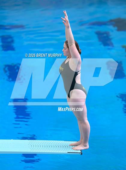 Thumbnail 1 in CHSAA 4A Finals (Diving) photogallery.