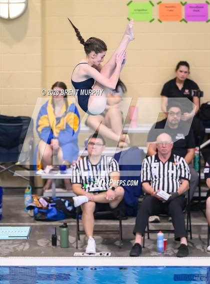 Thumbnail 2 in CHSAA 4A Finals (Diving) photogallery.