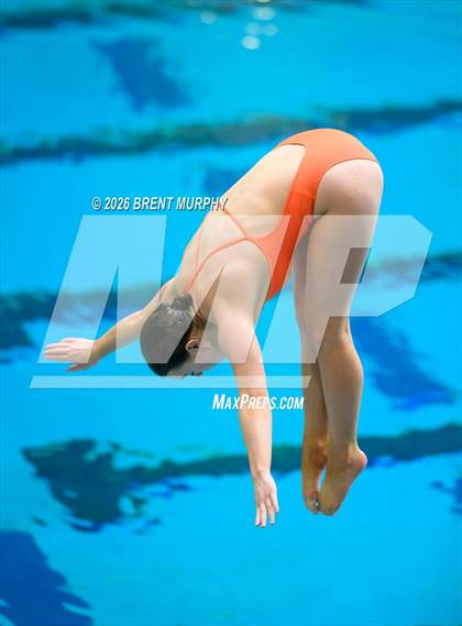 Thumbnail 2 in CHSAA 4A Finals (Diving) photogallery.