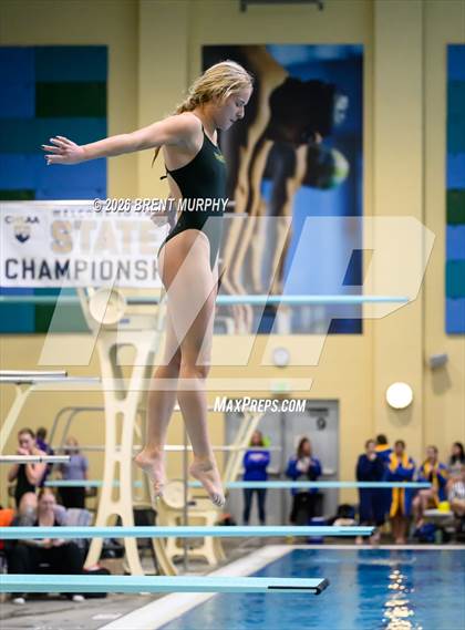 Thumbnail 3 in CHSAA 4A Finals (Diving) photogallery.