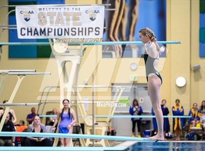Thumbnail 1 in CHSAA 4A Finals (Diving) photogallery.