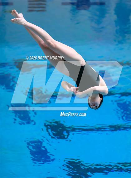 Thumbnail 3 in CHSAA 4A Finals (Diving) photogallery.