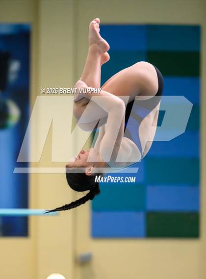 Thumbnail 2 in CHSAA 4A Finals (Diving) photogallery.