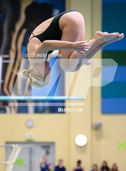 Thumbnail 1 in CHSAA 4A Finals (Diving) photogallery.