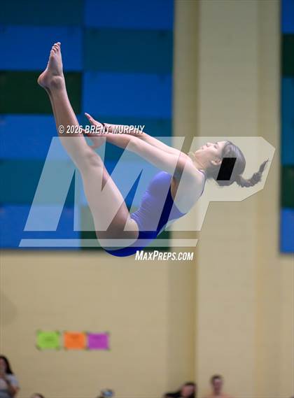 Thumbnail 2 in CHSAA 4A Finals (Diving) photogallery.