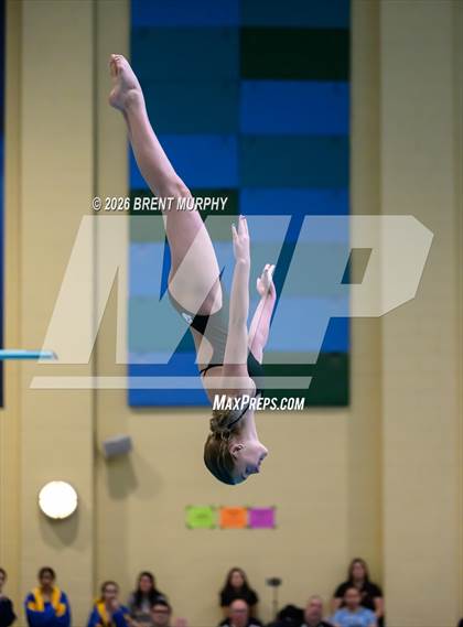 Thumbnail 2 in CHSAA 4A Finals (Diving) photogallery.