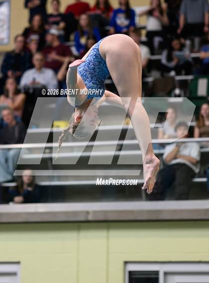 Thumbnail 2 in CHSAA 4A Finals (Diving) photogallery.