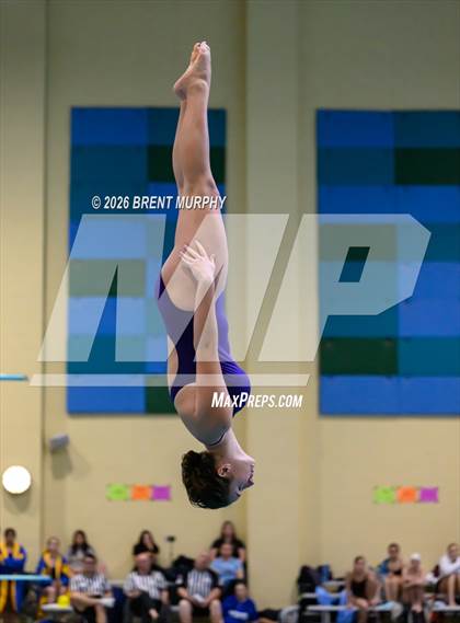 Thumbnail 1 in CHSAA 4A Finals (Diving) photogallery.