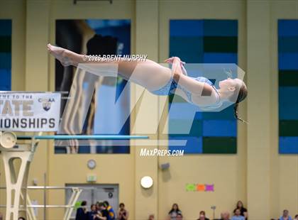 Thumbnail 3 in CHSAA 4A Finals (Diving) photogallery.
