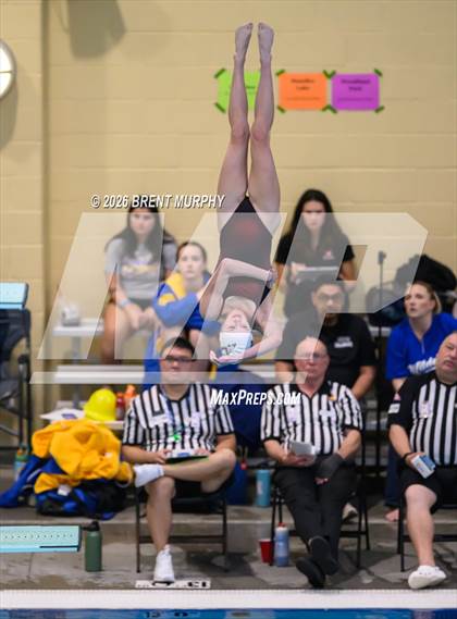 Thumbnail 3 in CHSAA 4A Finals (Diving) photogallery.