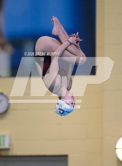 Thumbnail 1 in CHSAA 4A Finals (Diving) photogallery.