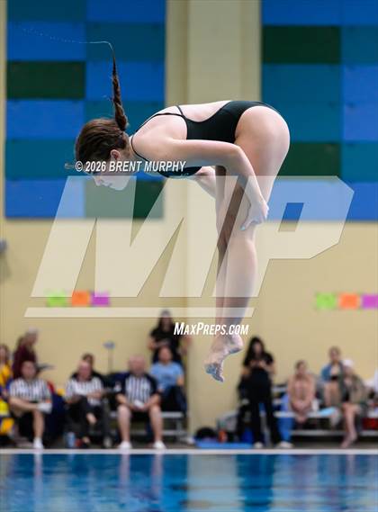 Thumbnail 2 in CHSAA 4A Finals (Diving) photogallery.