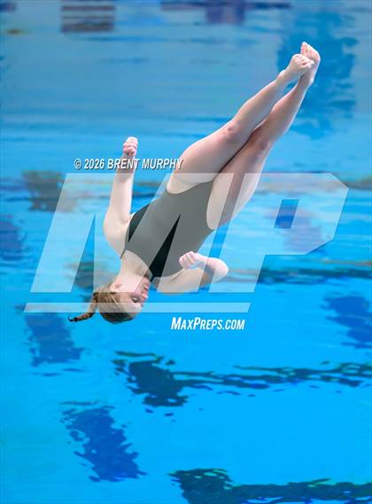 Thumbnail 2 in CHSAA 4A Finals (Diving) photogallery.