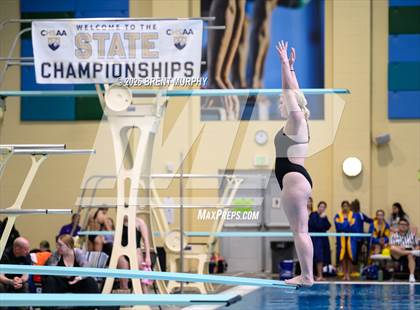 Thumbnail 2 in CHSAA 4A Finals (Diving) photogallery.