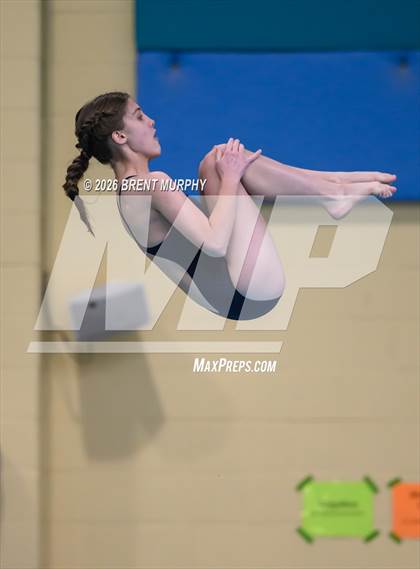 Thumbnail 3 in CHSAA 4A Finals (Diving) photogallery.