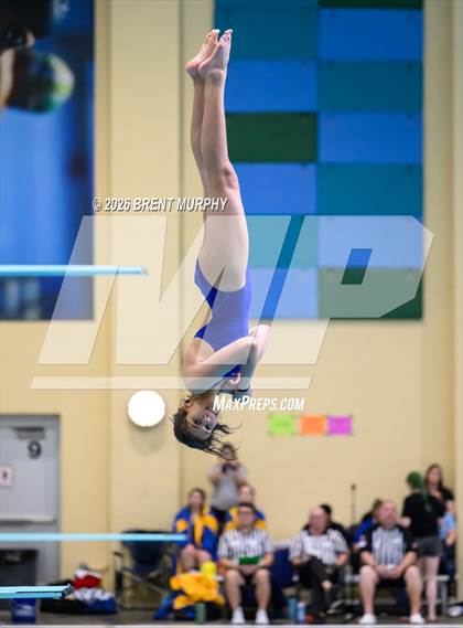 Thumbnail 2 in CHSAA 4A Finals (Diving) photogallery.