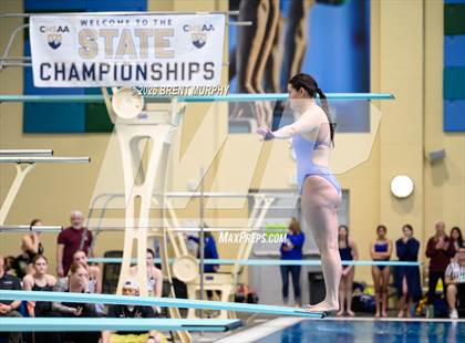 Thumbnail 1 in CHSAA 4A Finals (Diving) photogallery.