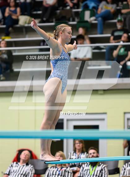 Thumbnail 2 in CHSAA 4A Finals (Diving) photogallery.