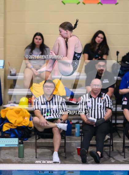 Thumbnail 3 in CHSAA 4A Finals (Diving) photogallery.
