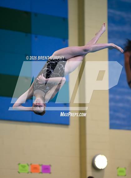 Thumbnail 2 in CHSAA 4A Finals (Diving) photogallery.