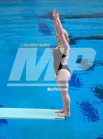 Thumbnail 2 in CHSAA 4A Finals (Diving) photogallery.