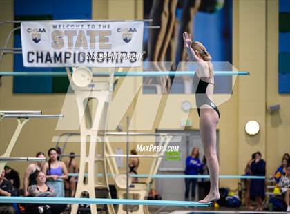 Thumbnail 2 in CHSAA 4A Finals (Diving) photogallery.