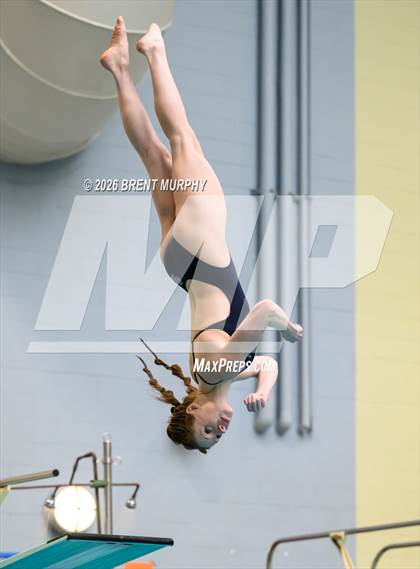 Thumbnail 1 in CHSAA 4A Finals (Diving) photogallery.
