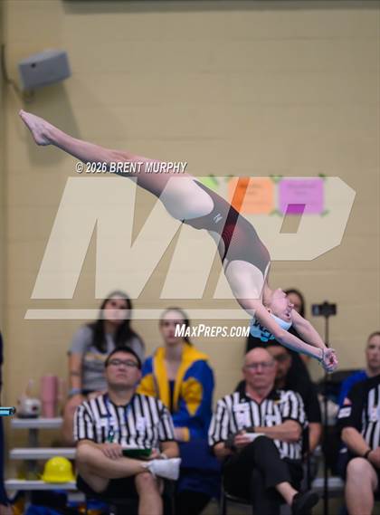 Thumbnail 1 in CHSAA 4A Finals (Diving) photogallery.