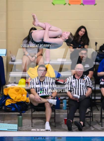 Thumbnail 2 in CHSAA 4A Finals (Diving) photogallery.