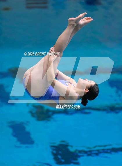 Thumbnail 2 in CHSAA 4A Finals (Diving) photogallery.